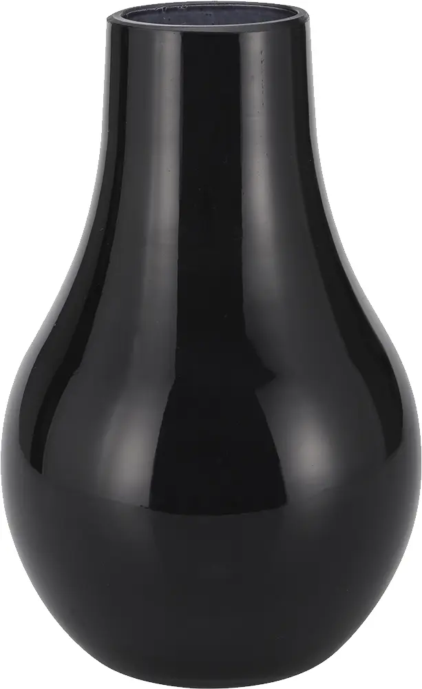 Sleek Black Ceramic Vase