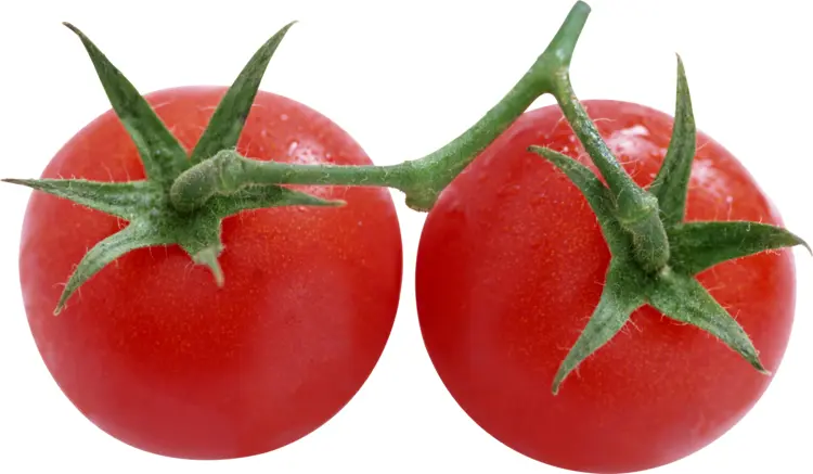 Ripe Cherry Tomatoes