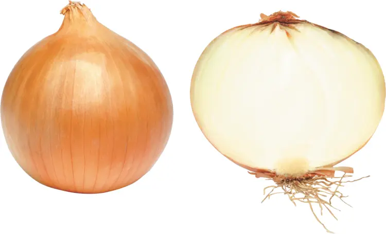 Whole and Cut Yellow Onion