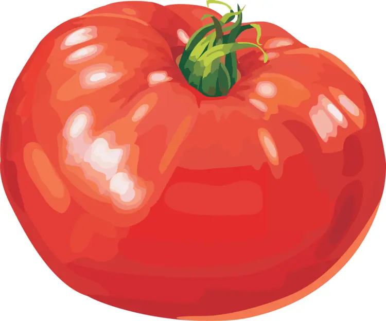Heirloom Tomato for Gourmet Cooking