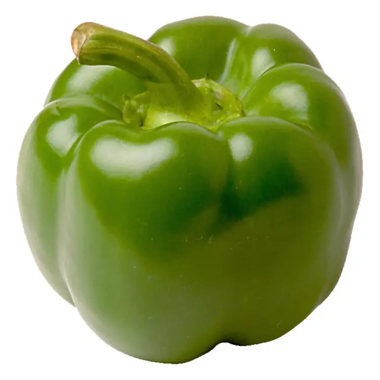 Fresh Green Bell Pepper for Culinary Use