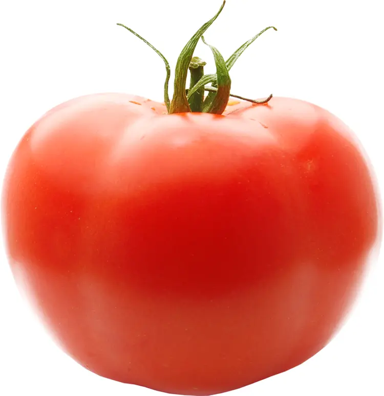 Single Red Tomato