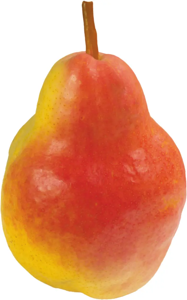 Red and Yellow Pear