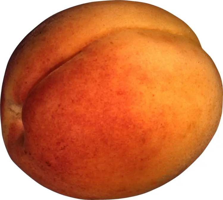Ripe Orange Peach