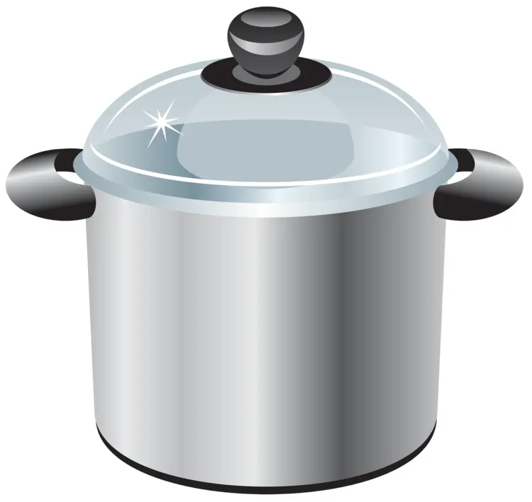 Shiny Cooking Pot with Lid