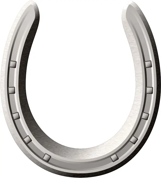 Metal Horseshoe