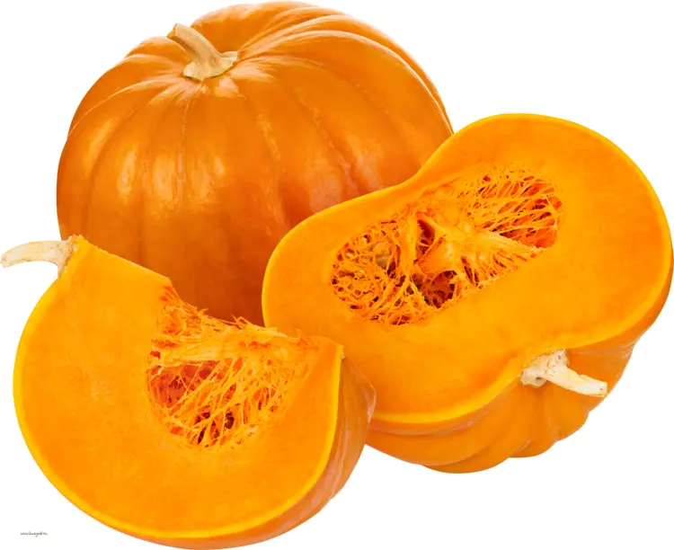 Sliced Butternut Squash with Seeds