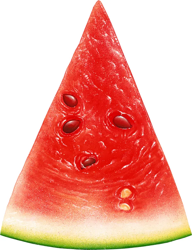 Refreshing Watermelon Wedge