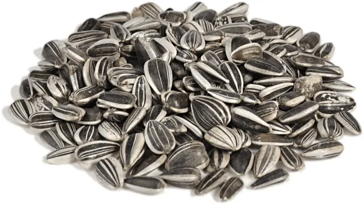Sunflower Seeds
