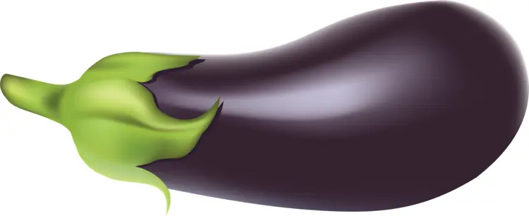 Purple Eggplant with Green Stem