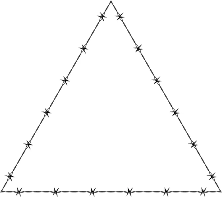 Triangular Barbed Wire Frame