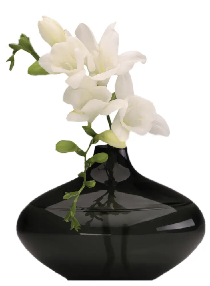 Elegant Black Vase with White Flowers