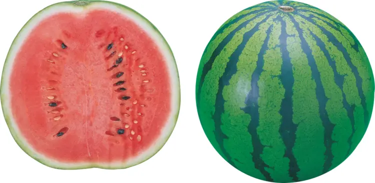 Juicy Red Watermelon
