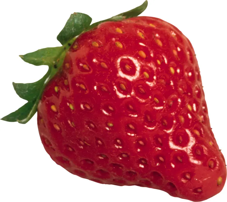 Fresh Red Strawberry