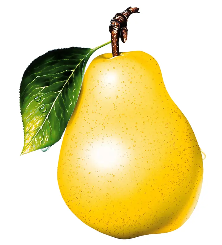 Yellow Pear with Leaf