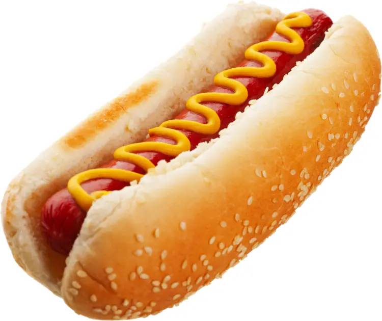 Delicious Hot Dog with Mustard