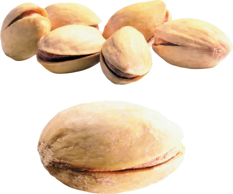 Whole Pistachio Nuts