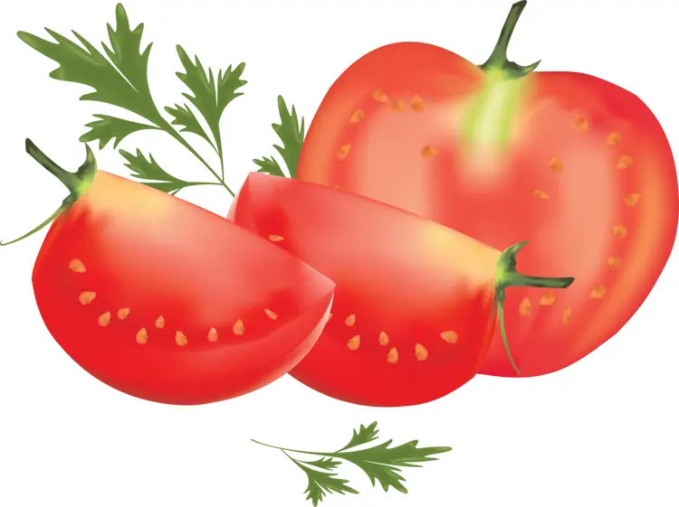 Fresh Red Tomato and Slices