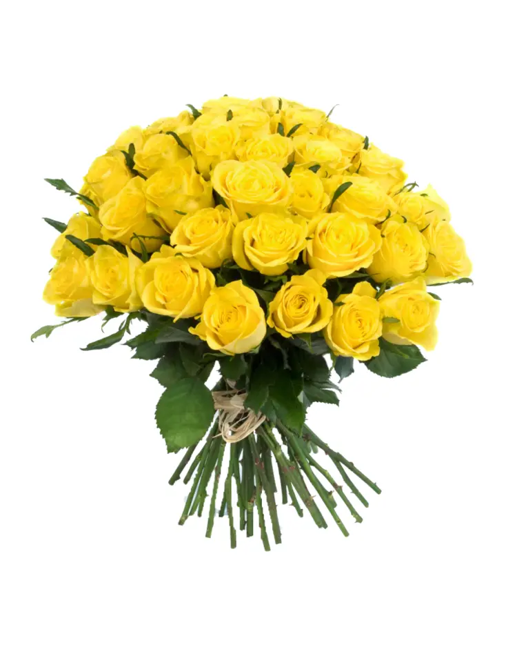 Bouquet of Yellow Roses