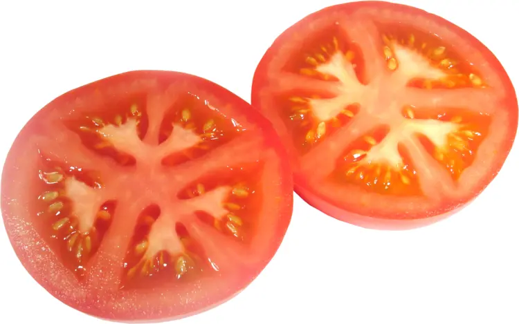 Sliced Fresh Tomato