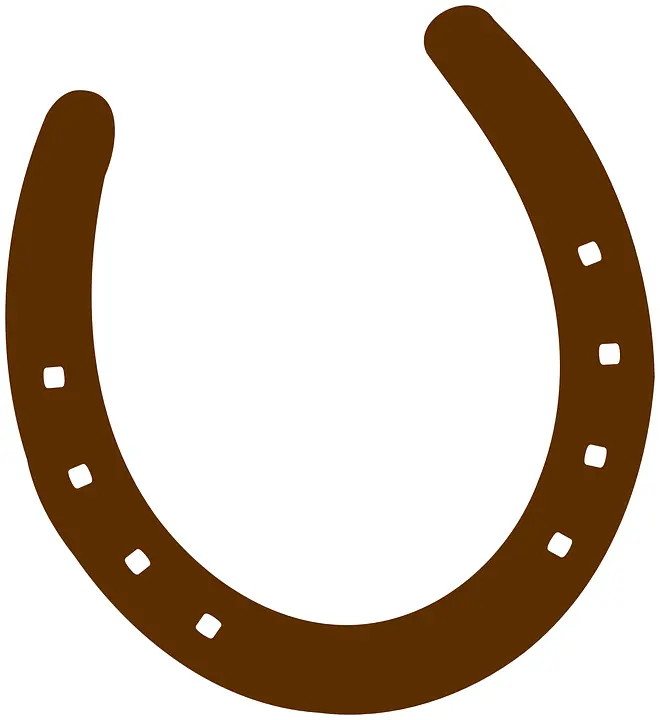 Brown Horseshoe Symbol
