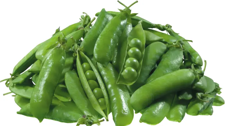 Pile of Fresh Green Peas