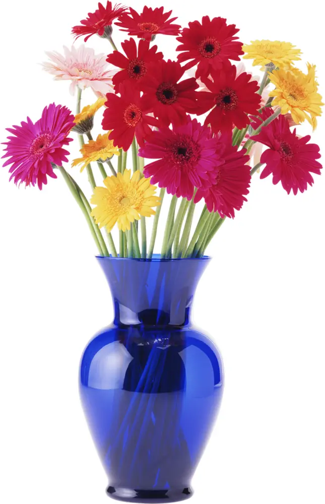 Vibrant Flower Bouquet in Blue Vase
