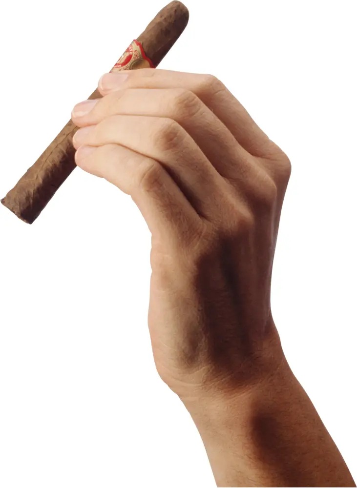 Hand Holding a Cigar