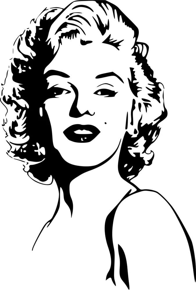 Silhouette of a Glamorous Woman