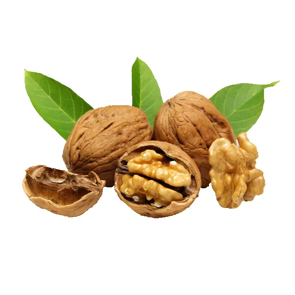 Walnuts with Leaves