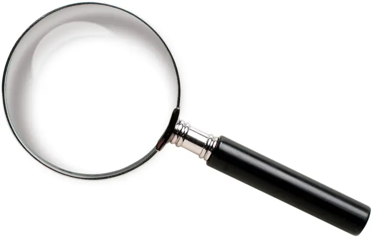 Magnifying Glass for Inspection