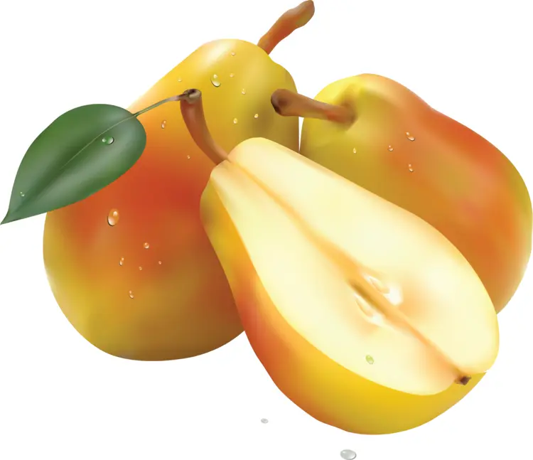 Yellow-Orange Pears with Leaves