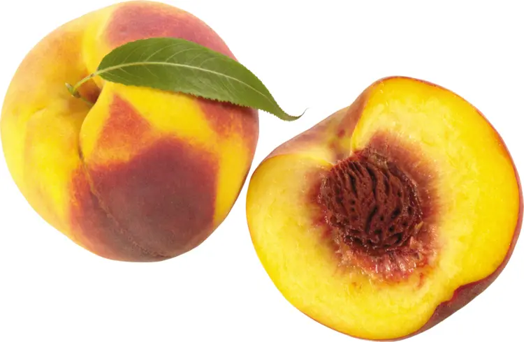 Peach with Green Leaf