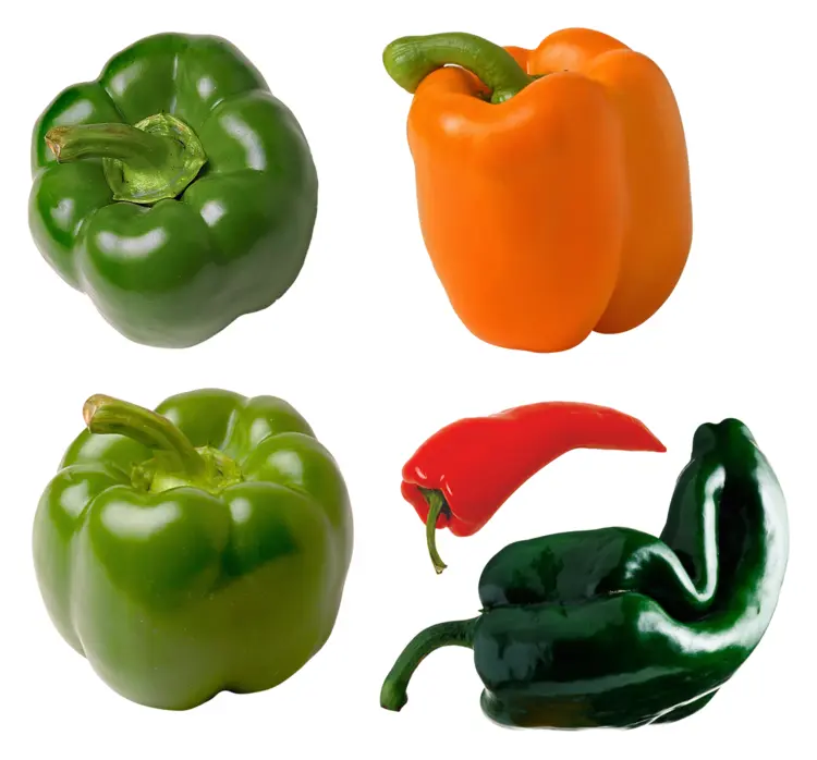Colorful Bell Peppers