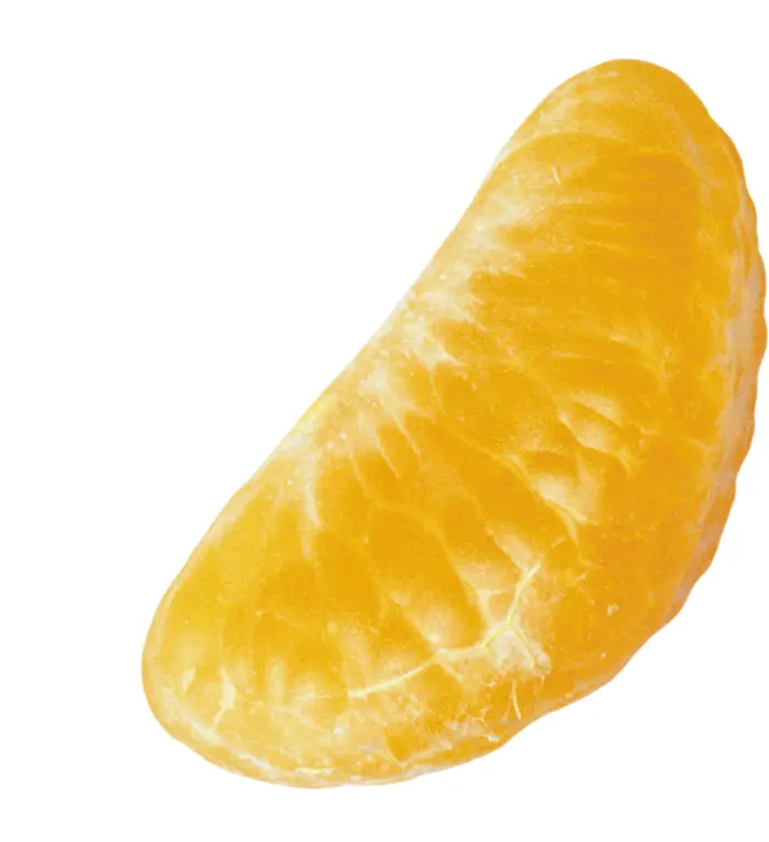 Single Orange Segment