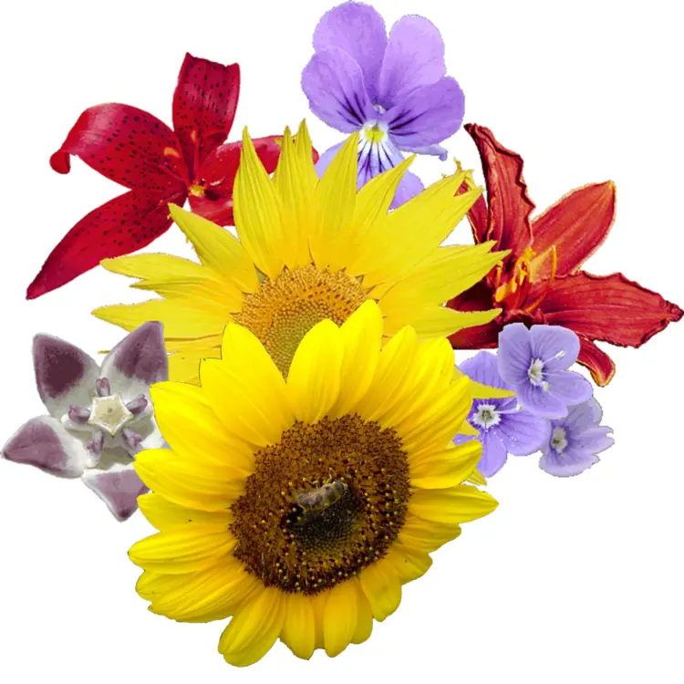 Vibrant Sunflowers and Mixed Flowers Bouquet