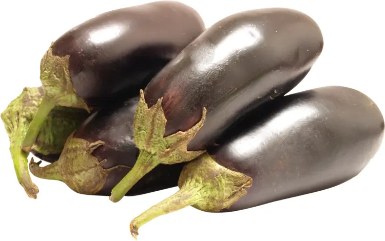 Fresh Purple Eggplants