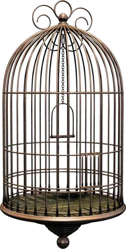 Ornate Hanging Birdcage