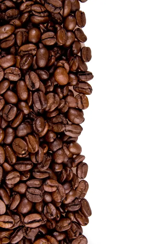 Brown Roasted Coffee Beans