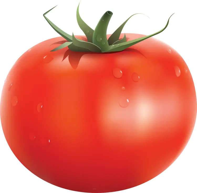 Fresh Red Tomato