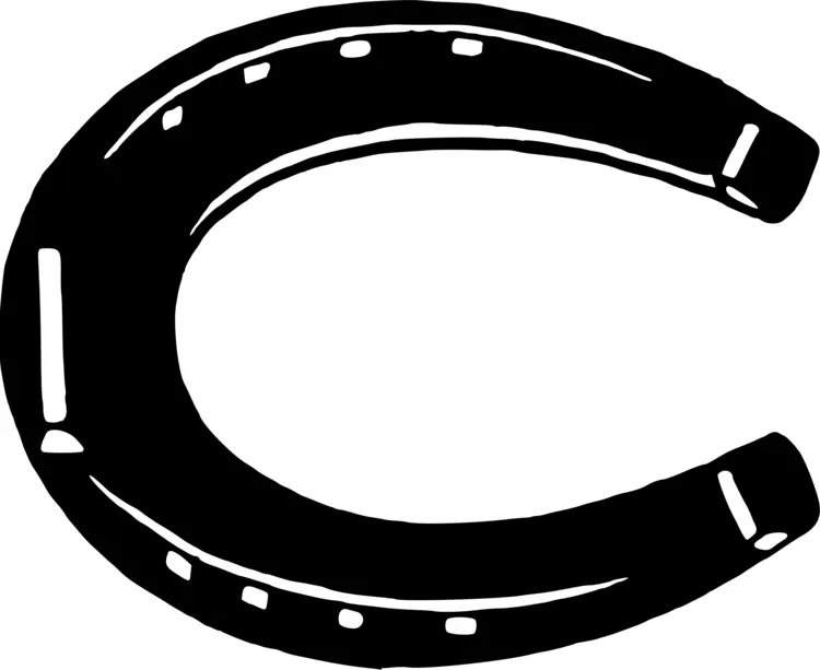 Black Horseshoe Symbol