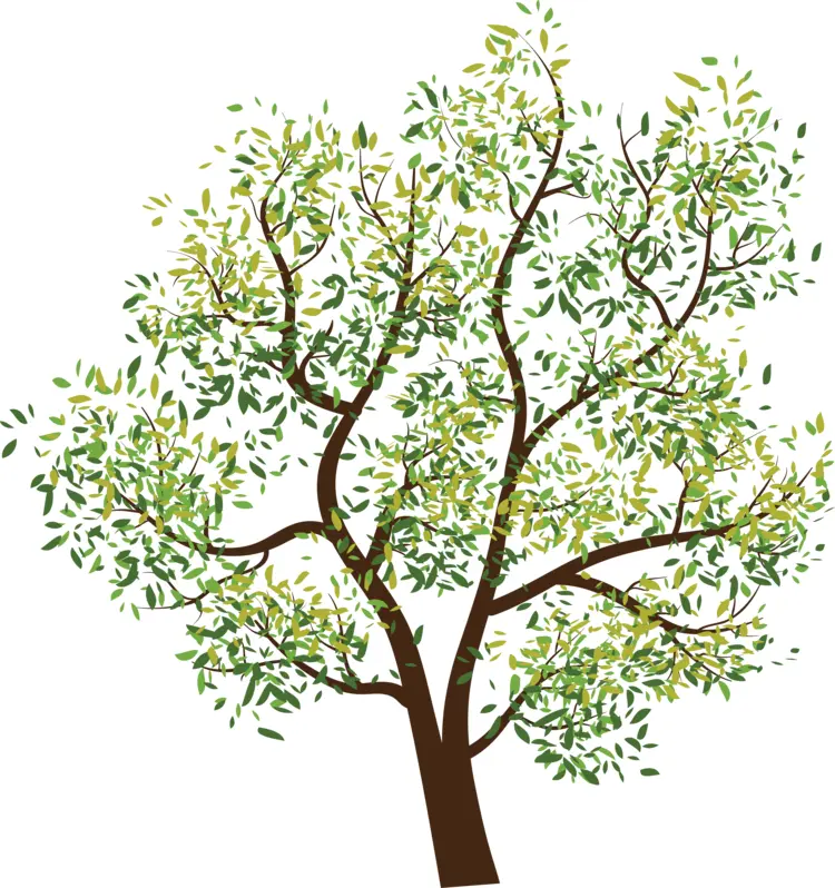 Green Tree with Leaves