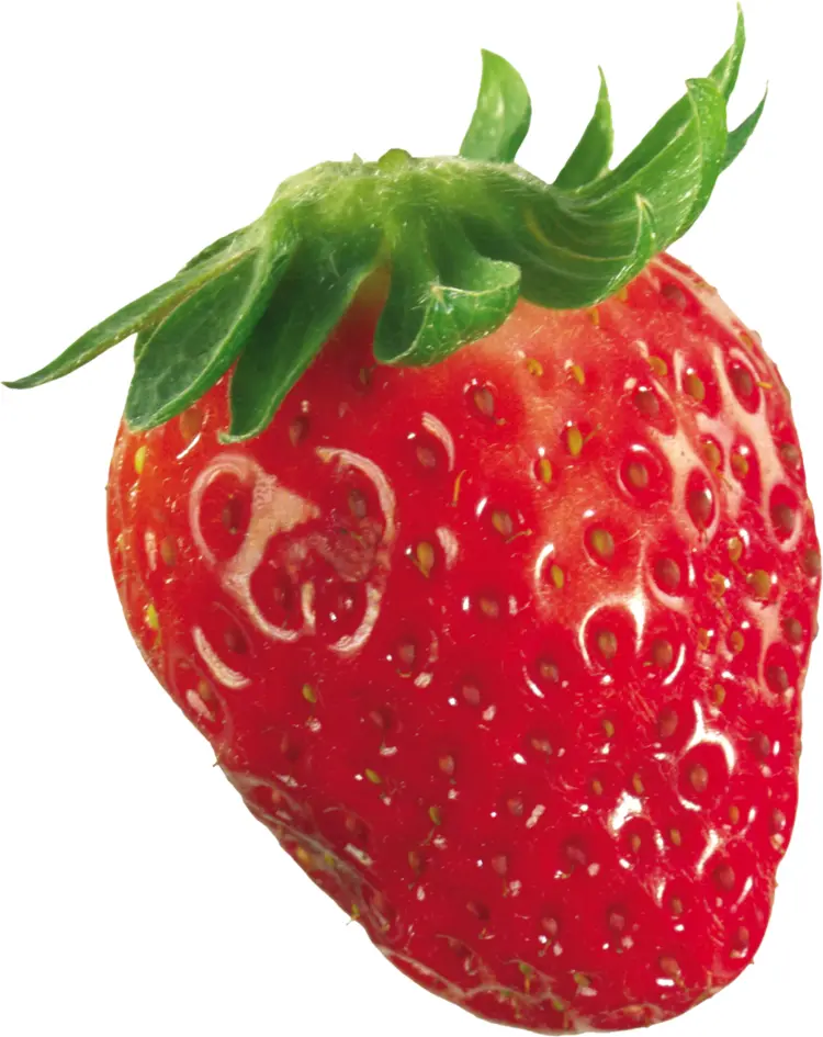 Leafy Red Strawberry