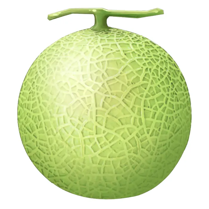 Sweet Green Melon