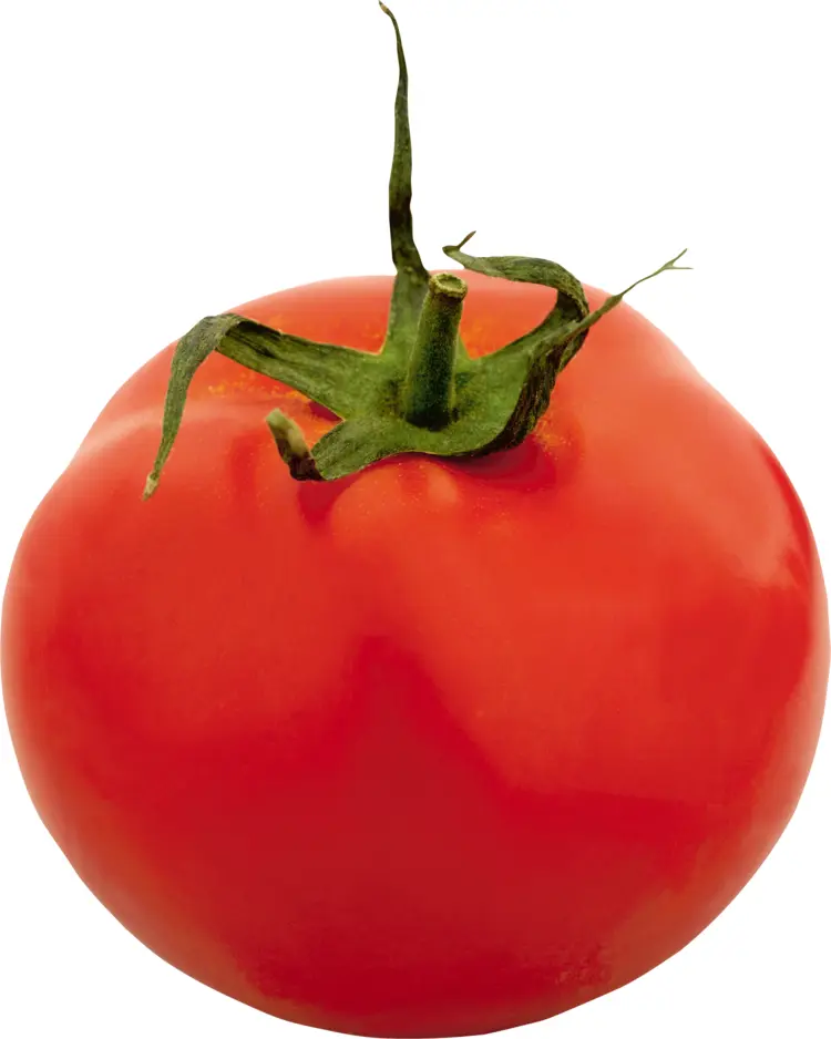 Ripe Red Tomato