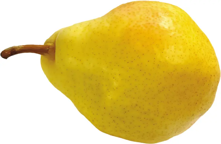 Yellow Pear on Transparent Background