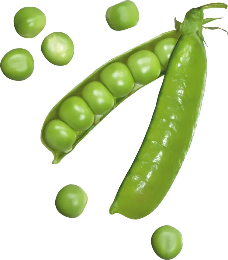 Green Peas in and out of Pod