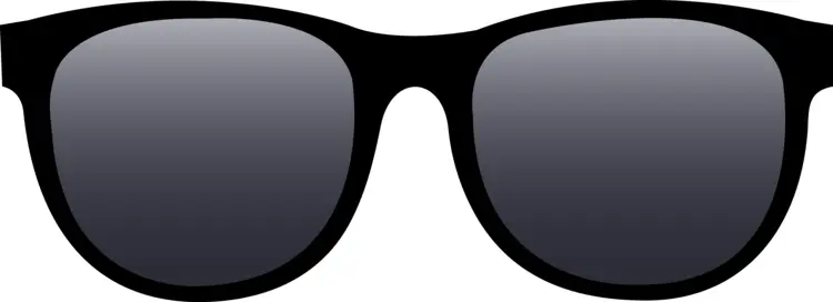 Classic Black Wayfarer Sunglasses for Everyday Use