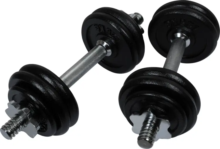 Adjustable Dumbbells with Plates