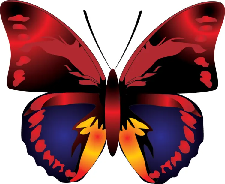 Red and Blue Butterfly Cartoon Illustration
